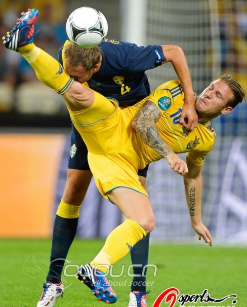 悲剧啊,顶级毒蜂草了半年就变这样了,欲哭无泪啊