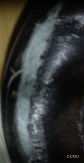 各位大神帮我鉴定下,真假,材质,脚感!