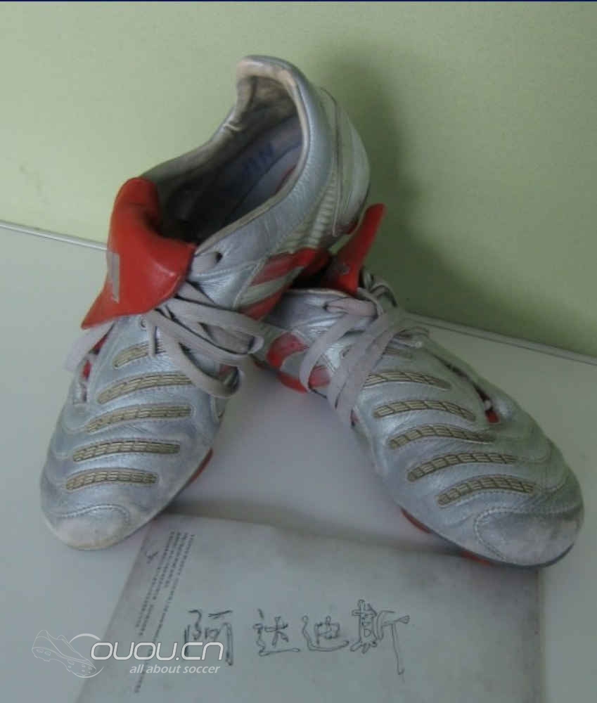 请教PDS里面手套的分类含义|守门员(GK)专区