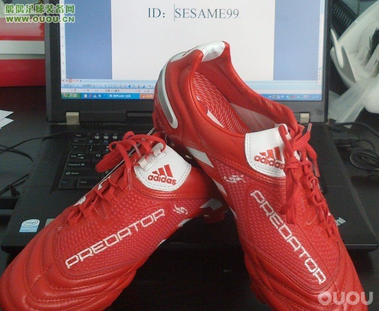 猎十全红小贝AG实战测评。。。。