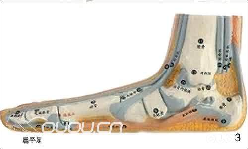 【新人必看】脚型测量图解——购鞋须知!