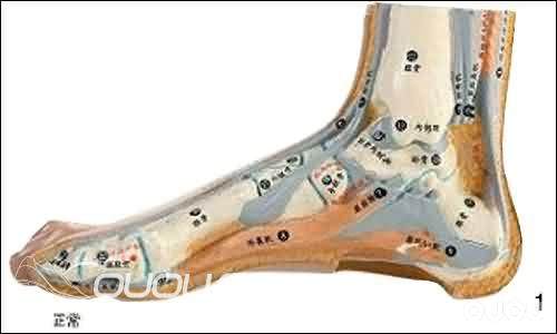 【新人必看】脚型测量图解——购鞋须知!