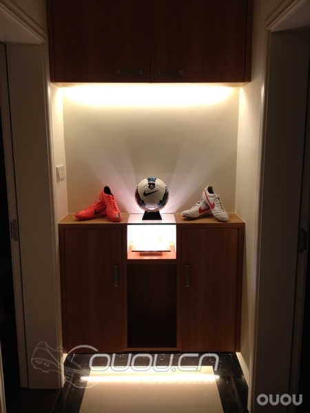 家里的新摆设–刺客与传奇