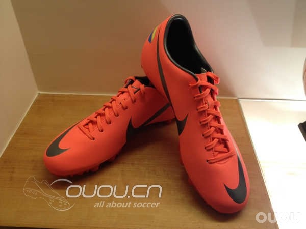 家里的新摆设–刺客与传奇