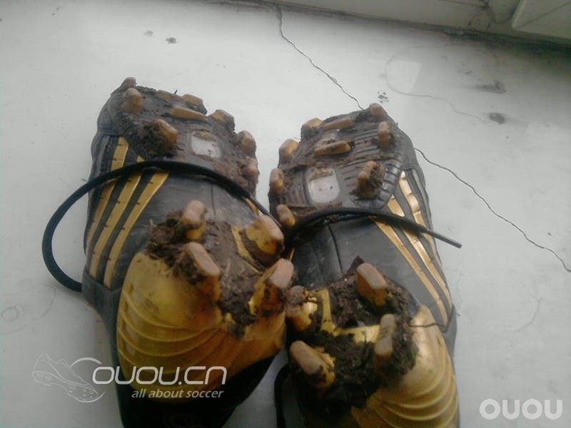 今晚切尔西必胜 发上次猎九黑金的评测贴 再次感谢永远的德罗巴