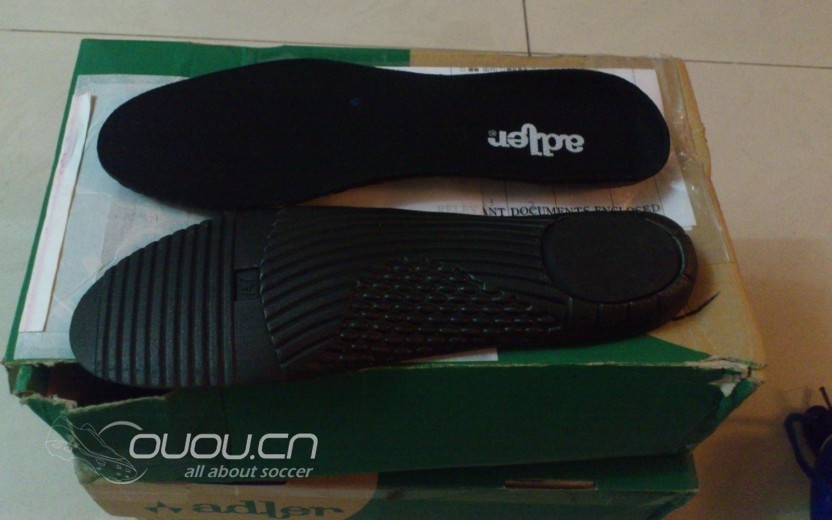 日产,乐天,阿德勒,冷门