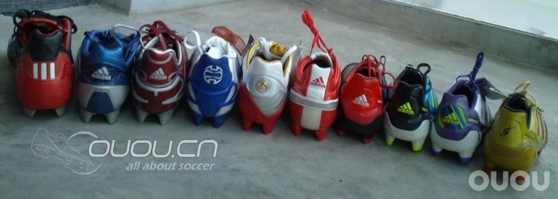 我家的那些猎鹰们,哈哈哈