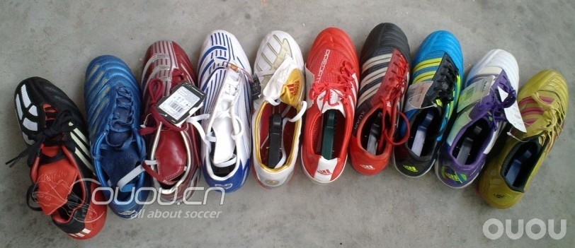 我家的那些猎鹰们,哈哈哈