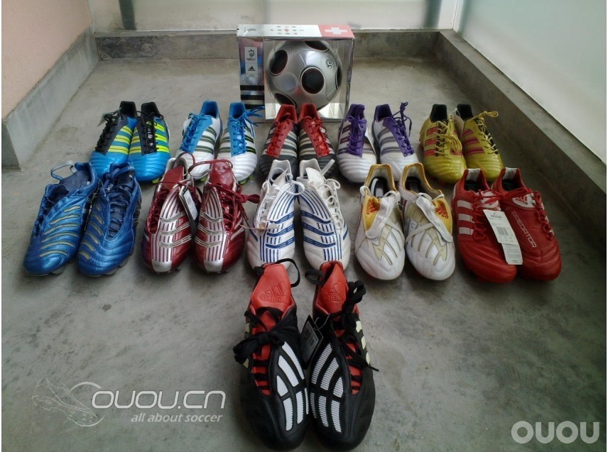 我家的那些猎鹰们,哈哈哈