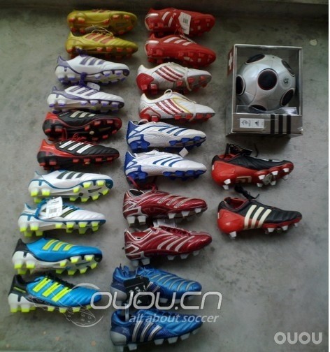 我家的那些猎鹰们,哈哈哈