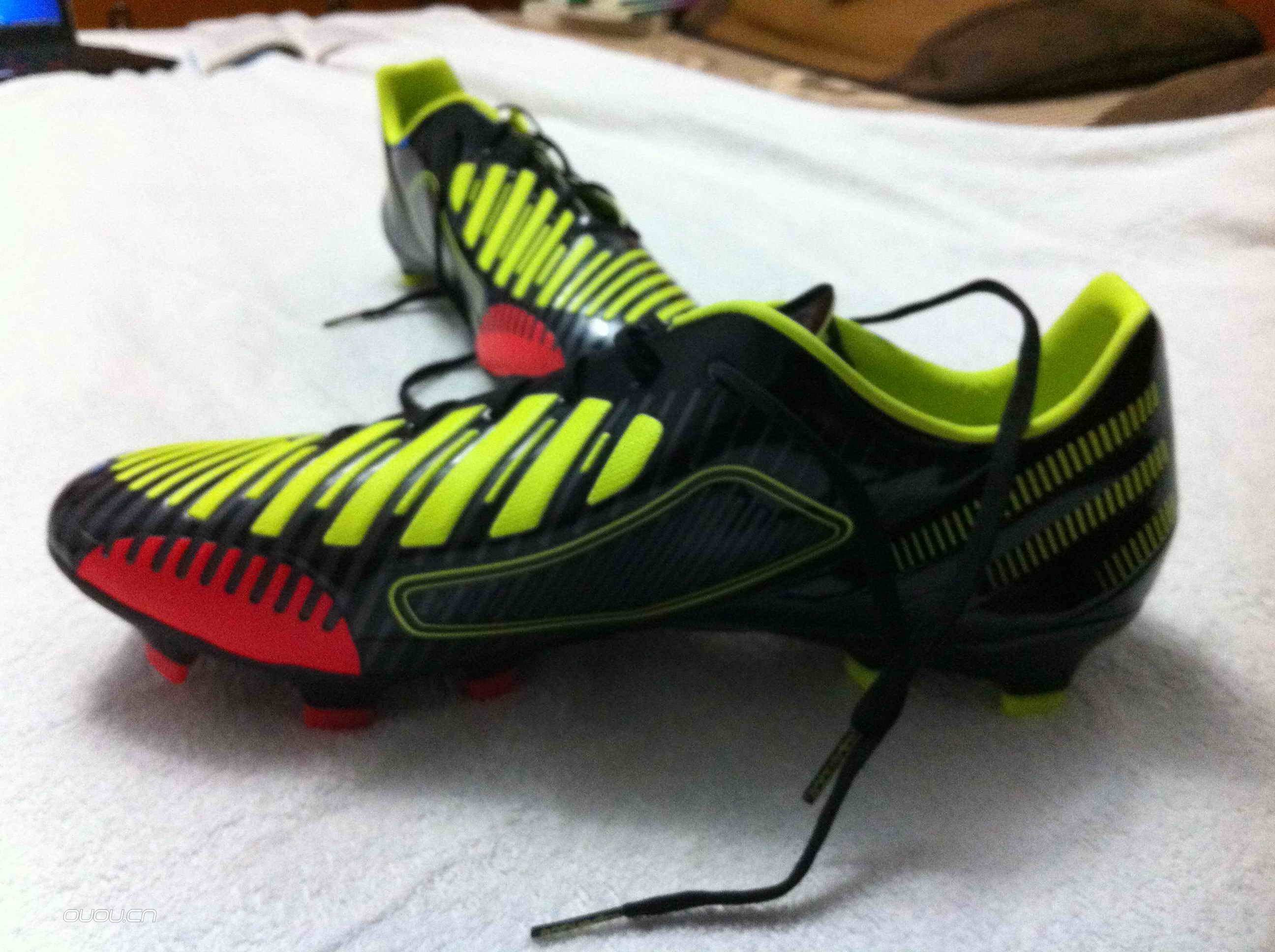 小弟是新人,曬一雙獵鷹LZ,求鑒定