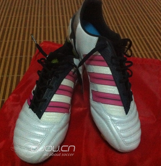 一个猎鹰控的自述(不算很发烧的) 更新了几张新图