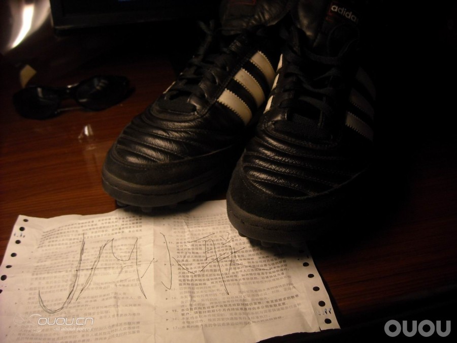 黑暗骑士的归来-copa-TF