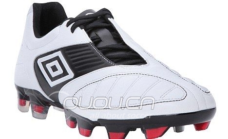 犹豫不决不知道入手什么。求大神指点。