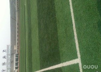 关于球场和鞋底