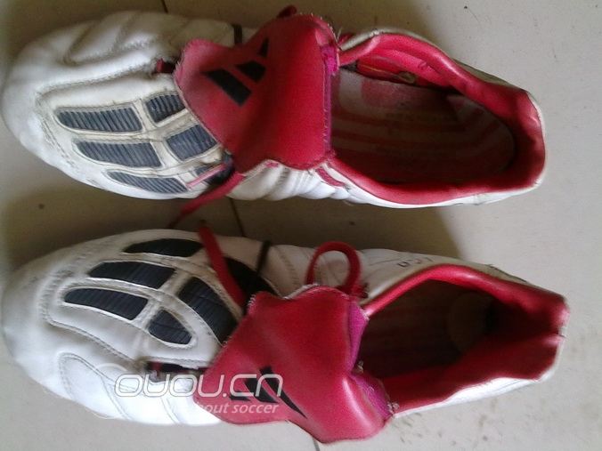 向陪伴我的老朋友致敬