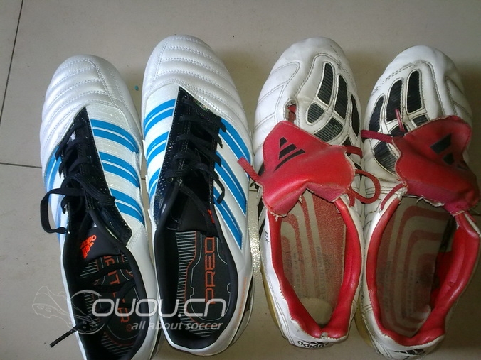 向陪伴我的老朋友致敬