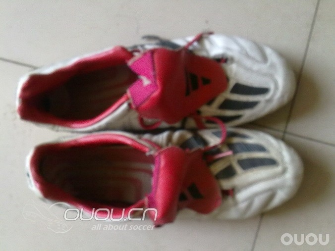 向陪伴我的老朋友致敬