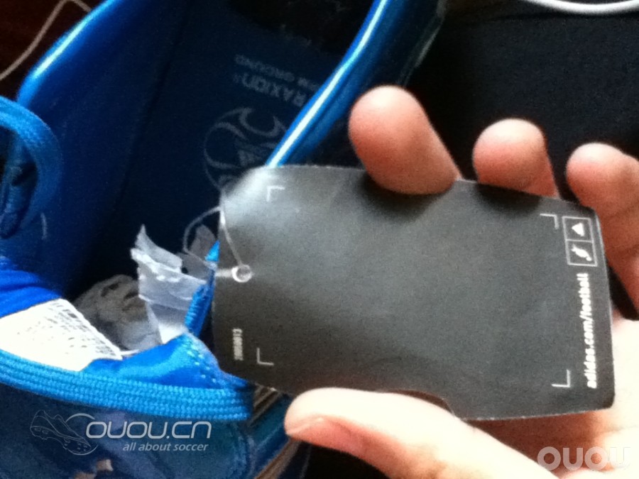 小贝蓝狮求鉴定