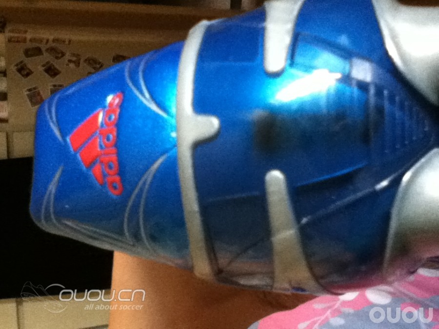 小贝蓝狮求鉴定