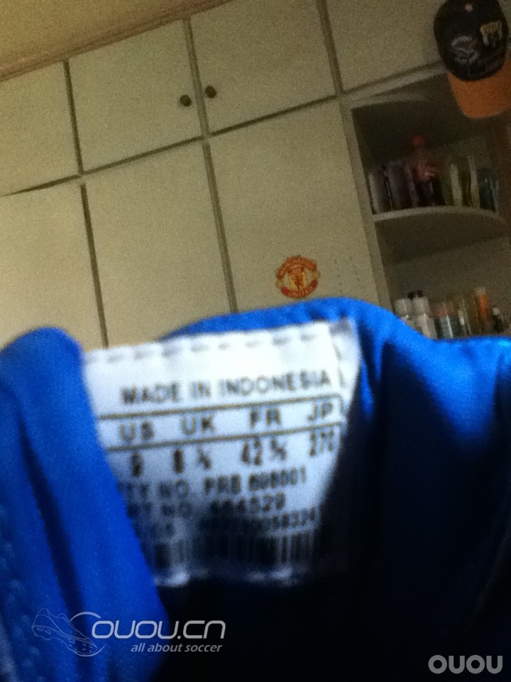 大家帮忙看看啊,小贝蓝狮的鞋标