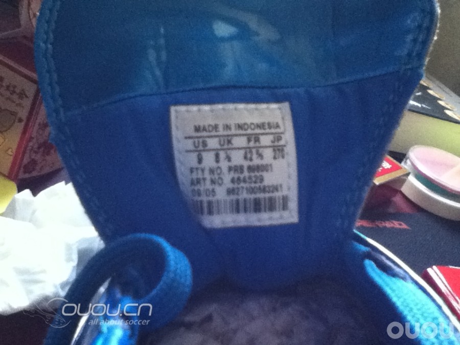 小贝蓝狮求鉴定