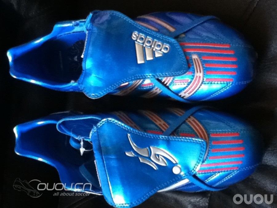 小贝蓝狮求鉴定