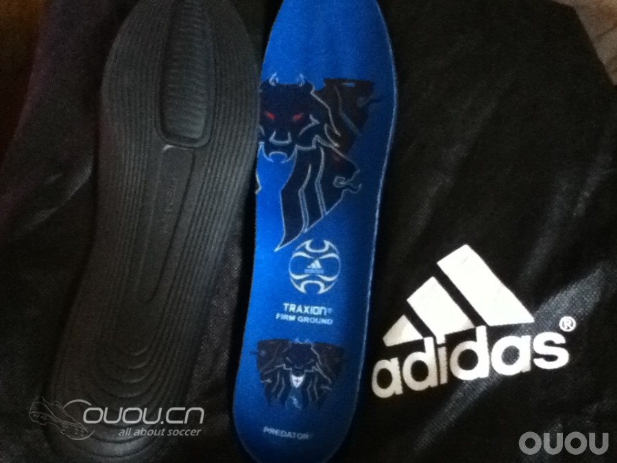 小贝蓝狮求鉴定