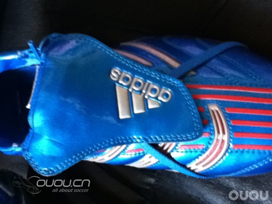 小贝蓝狮求鉴定