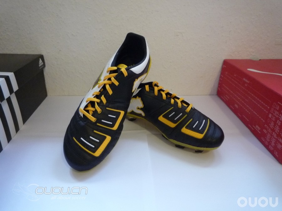 10月新入的大猫C1.12,释迦猎11