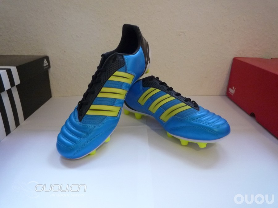 10月新入的大猫C1.12,释迦猎11