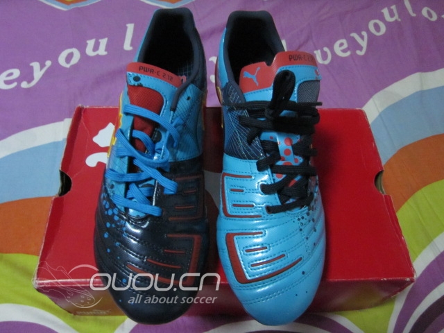 新入手的力量猫 鸳鸯色 寻找它好久啊~