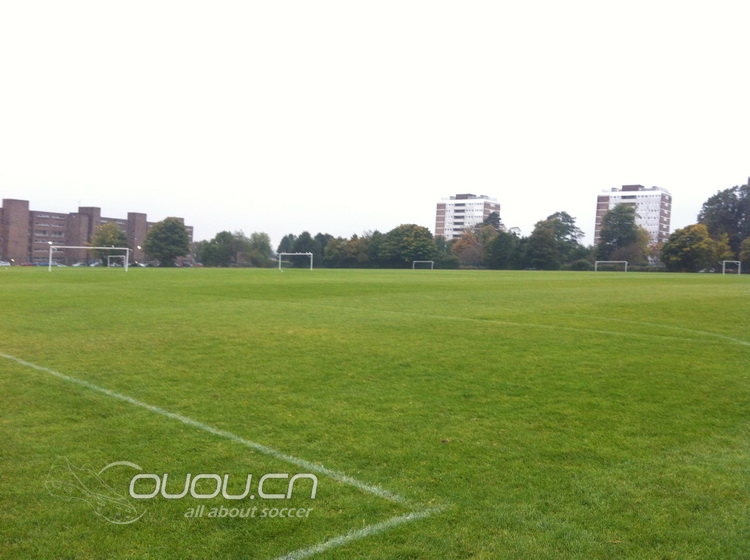 再来 — 骚蓝 F50 adizero TRX FG 皮面 (蓝色皮版首发?), 附简单实战评测~