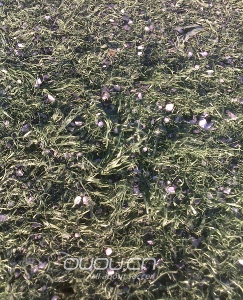 鱼和熊掌-刺客8与传奇4之再续前缘