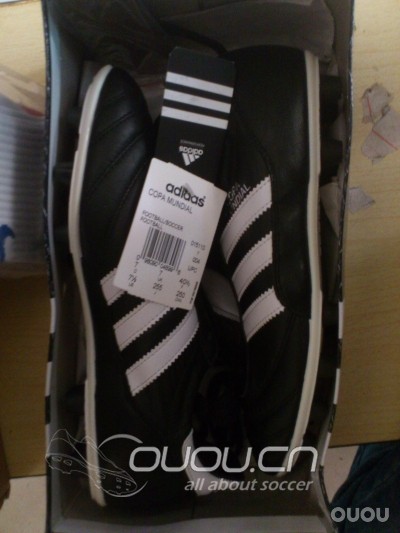 今早刚收到的COPA FG