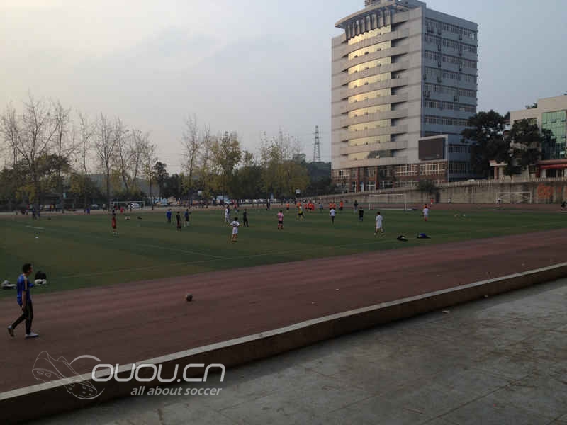 adipure 1 HG 小点评·