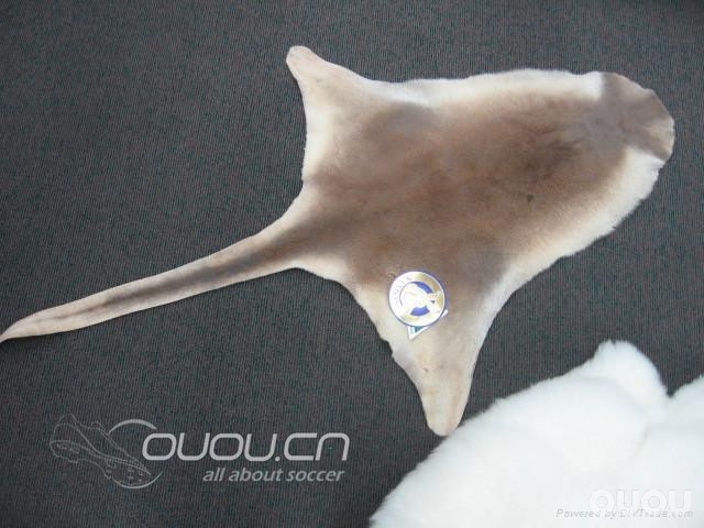 知识贴:关于袋鼠皮