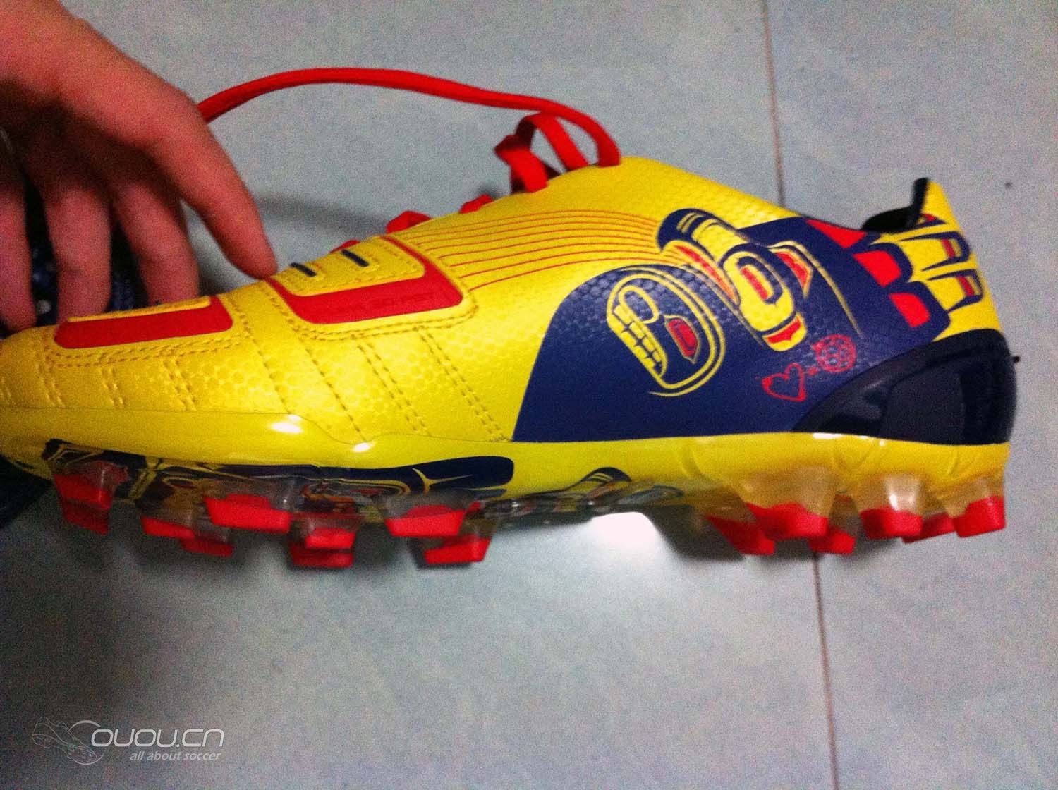 终于收养了一只猫,它的名字叫力量猫。