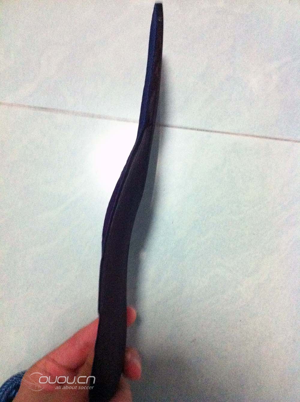 终于收养了一只猫,它的名字叫力量猫。