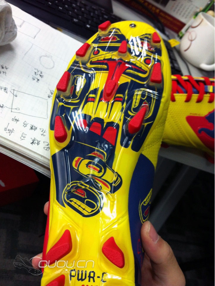 终于收养了一只猫,它的名字叫力量猫。