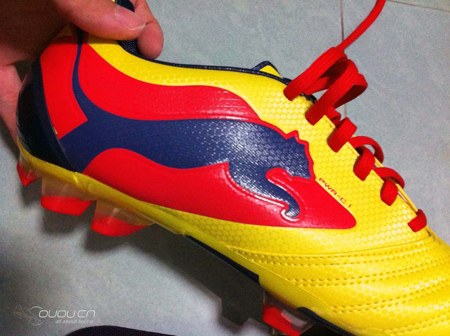 终于收养了一只猫,它的名字叫力量猫。