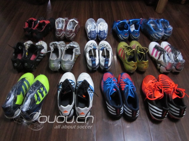 我的猎鹰之家-附上目前所拥有各等级的猎鹰