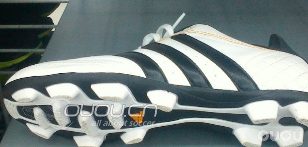 各位大神快来看,这是不是白菜~~