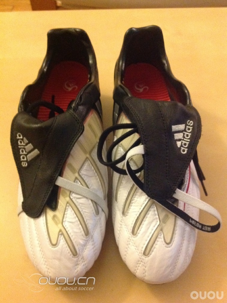 今天比较闲,后宫佳丽出来开个会