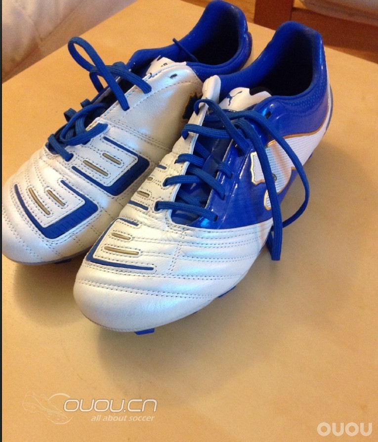 今天比较闲,后宫佳丽出来开个会