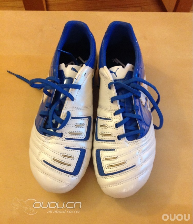 今天比较闲,后宫佳丽出来开个会