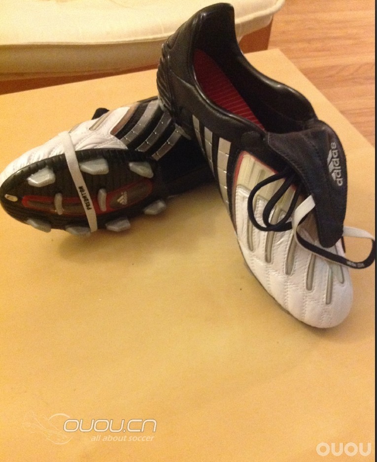 今天比较闲,后宫佳丽出来开个会