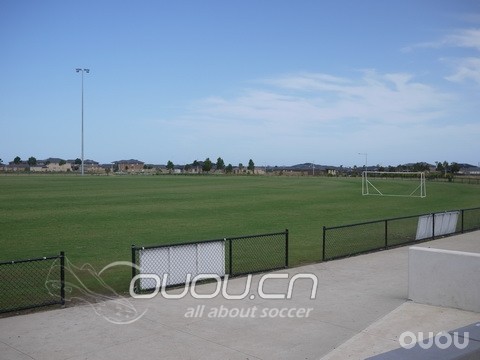 MV8 FG 首次下场汇报.