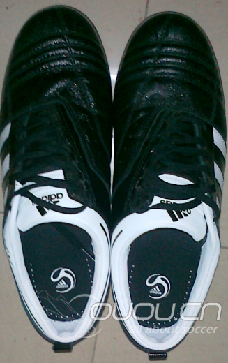 卡卡系列的adinove