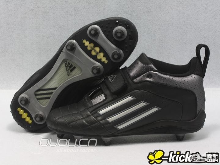 不知名的白菜,求科普。